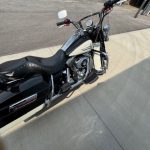 Harley Police 3